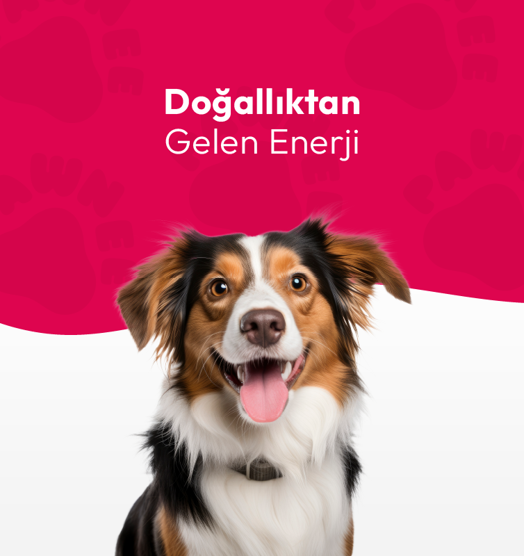 754x800_Banner_son 3-01
