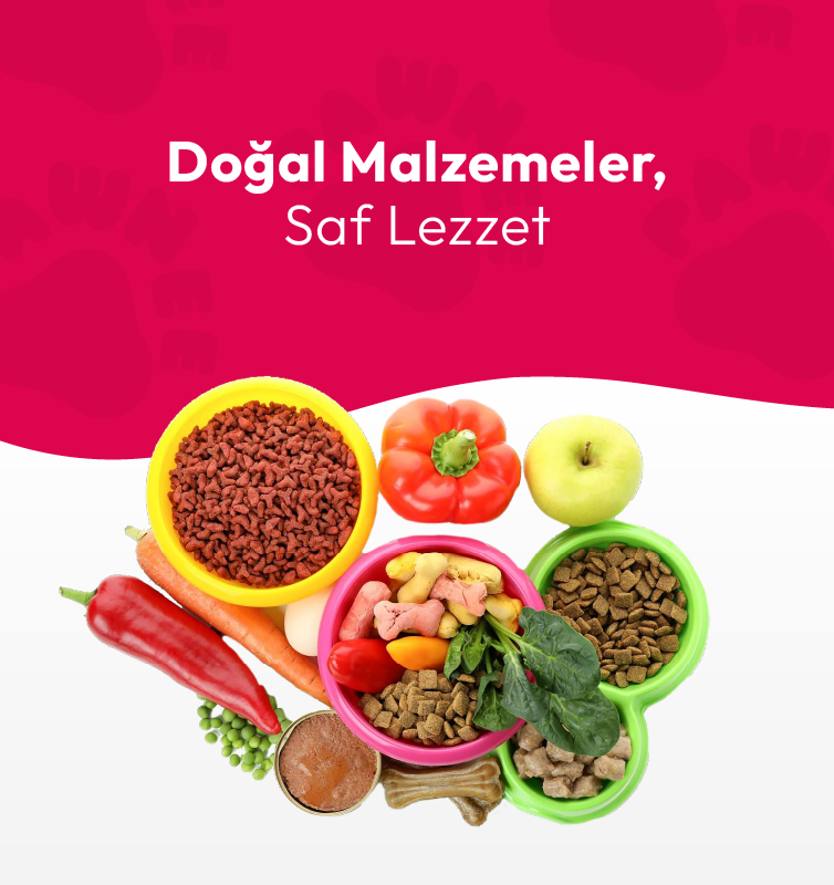 754x800_Banner_son 3-03
